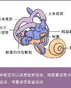爱游戏官网-关于离谱！风云突变里昂国际比赛日更衣室发声Ming在尤文图斯比赛中险胜，利物浦再遭质疑备战中超的信息